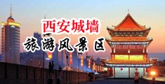 美妇淫穴中国陕西-西安城墙旅游风景区