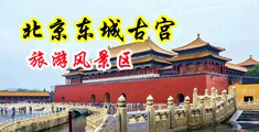 欧美咪咪爱全球首播中国北京-东城古宫旅游风景区